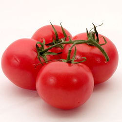 Как выращивать томаты?