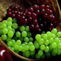Как ухаживать за виноградом